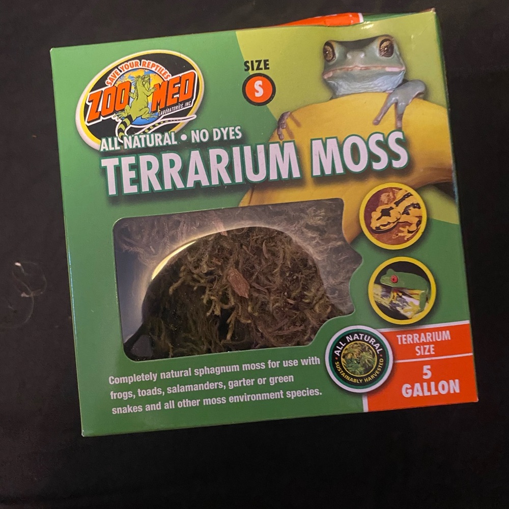 Terrarium Moss - Green
